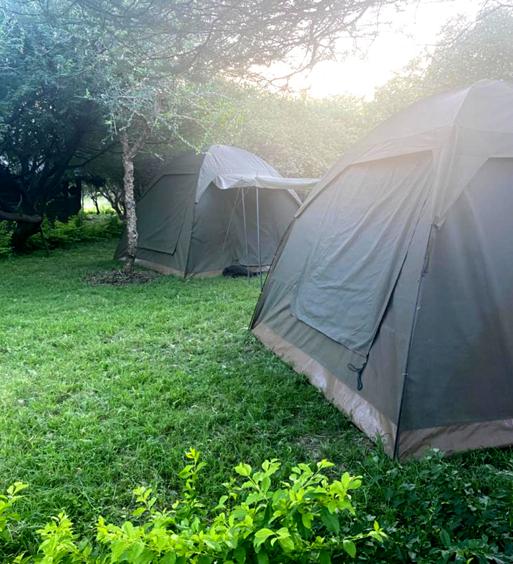 Eyasi Datoga Campsite